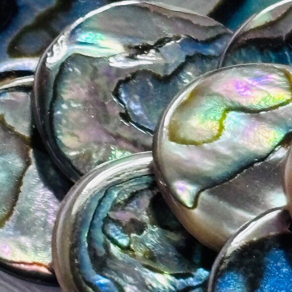 Abalone Shell Disc Bib Necklace Iridescent Statement Collar - Picture 9 of 13